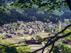 山村