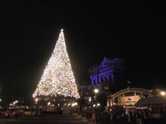 クリスマスツリー