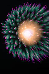 集束