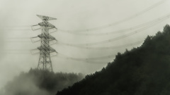 生存戦略