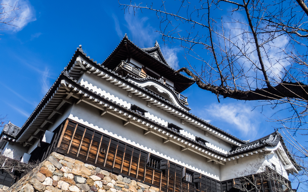 そびえ立つ城