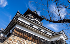 そびえ立つ城