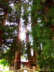 菅原神社