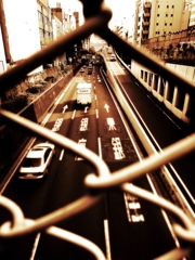 首都高