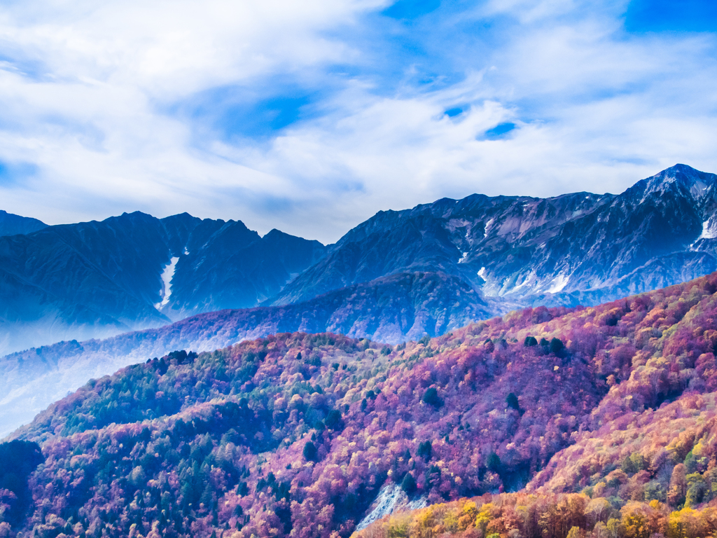 青い紅葉