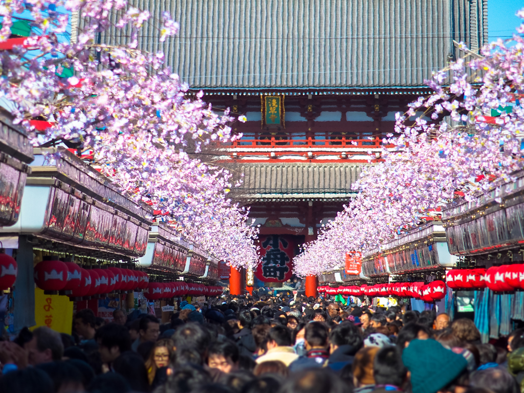 風神雷神門からの風景