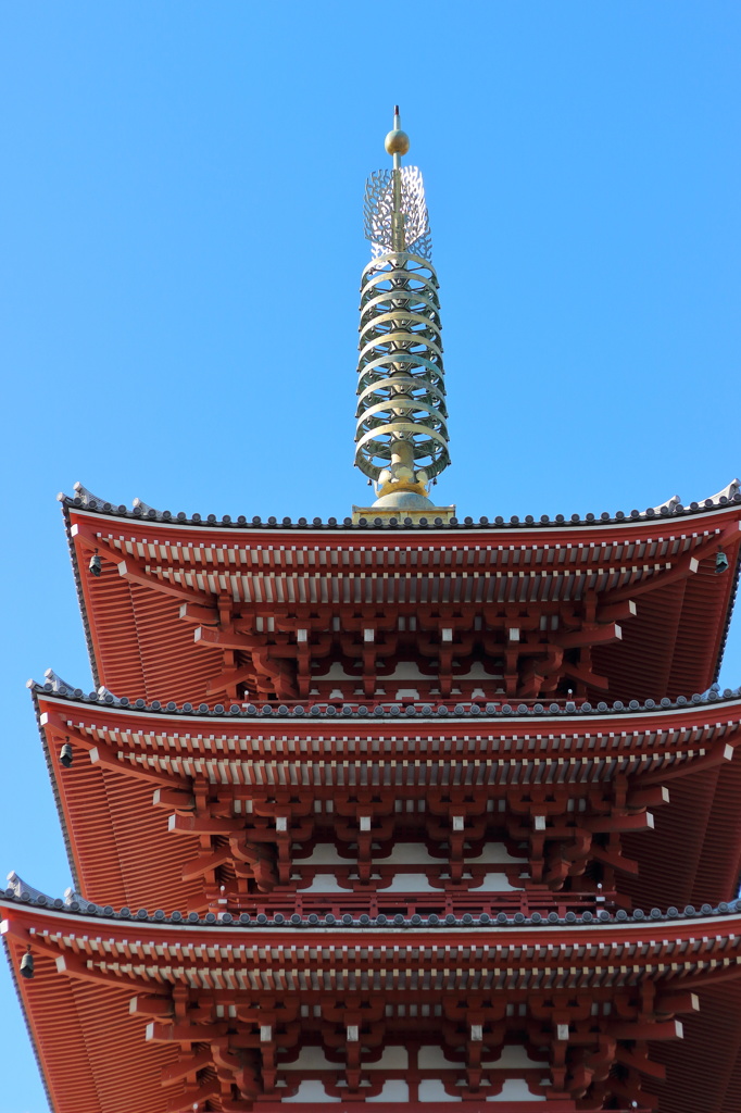 背景が証明写真