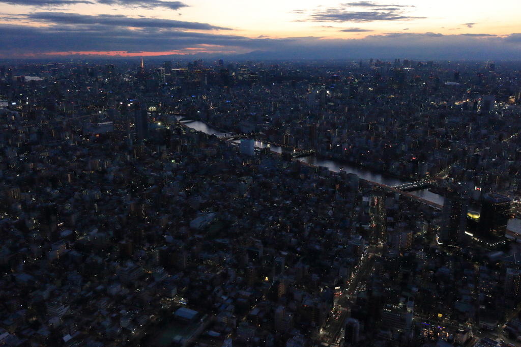 あれはもしや、東京タワー。