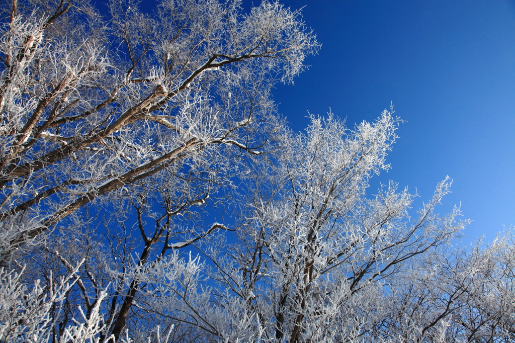 -20℃の景色１