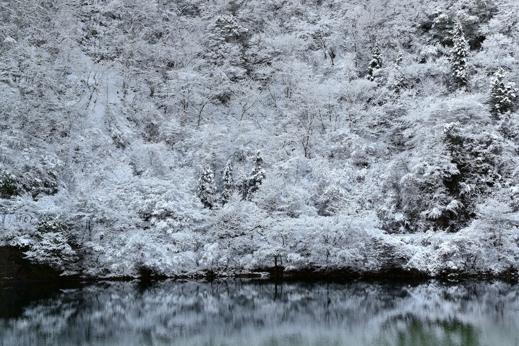 雪景色2