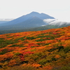 三ツ石山紅葉と岩手山