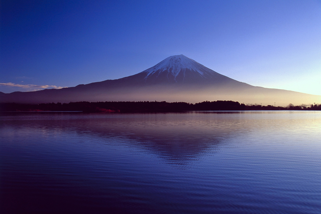 横光