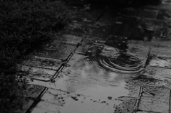雨