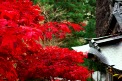榛名神社