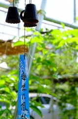 夏の風物詩
