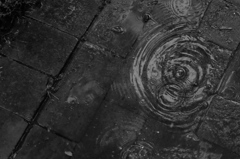 雨