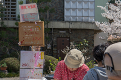 桜アイス