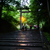 雨の石段