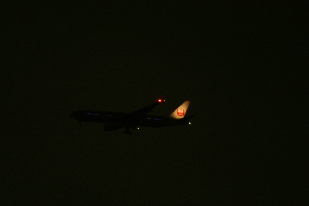 飛行機