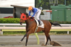 勝馬