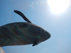 天気良い