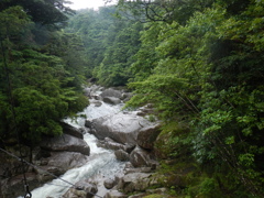 屋久島渓流