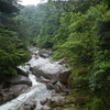 屋久島渓流