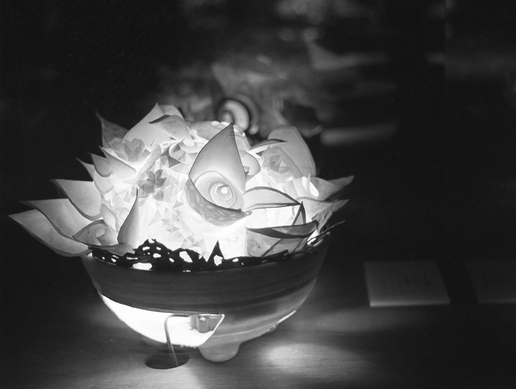 光の花