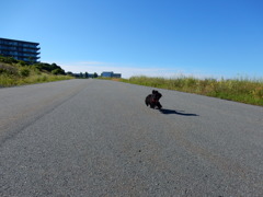 DSCN0178
