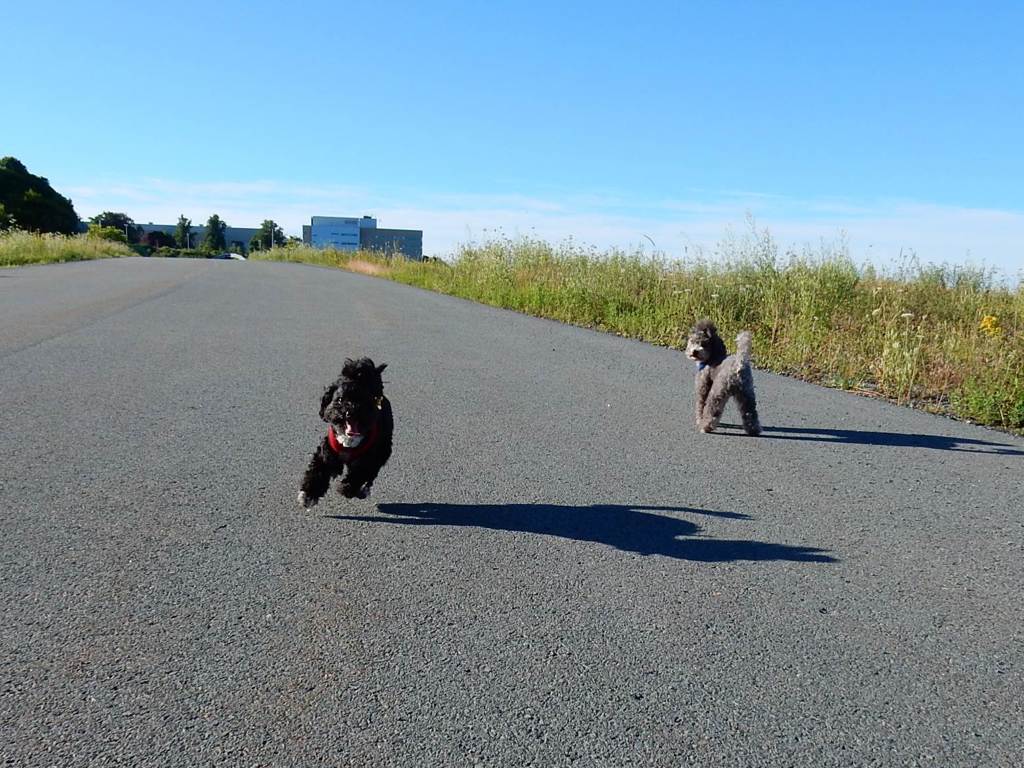 ぜえぜえ。