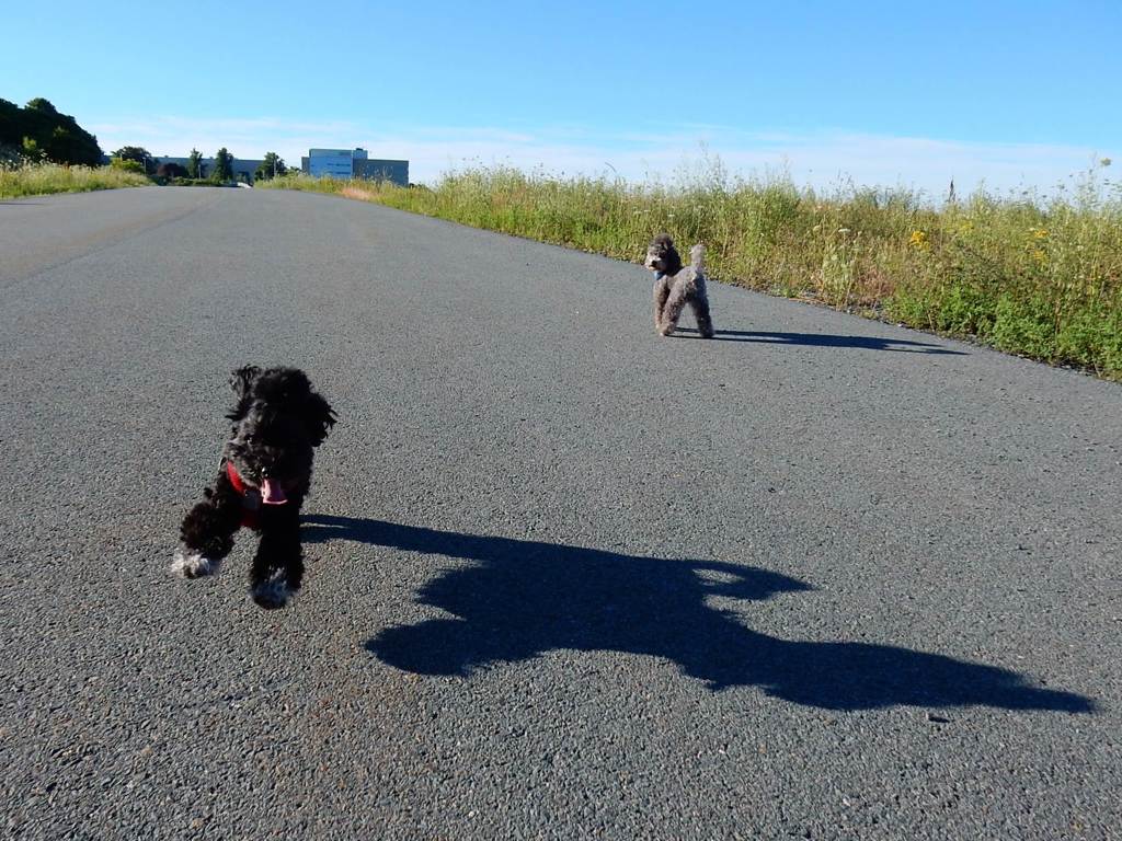 バテてきた。