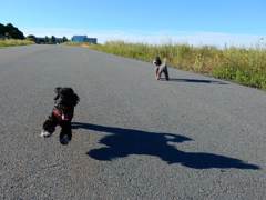 バテてきた。