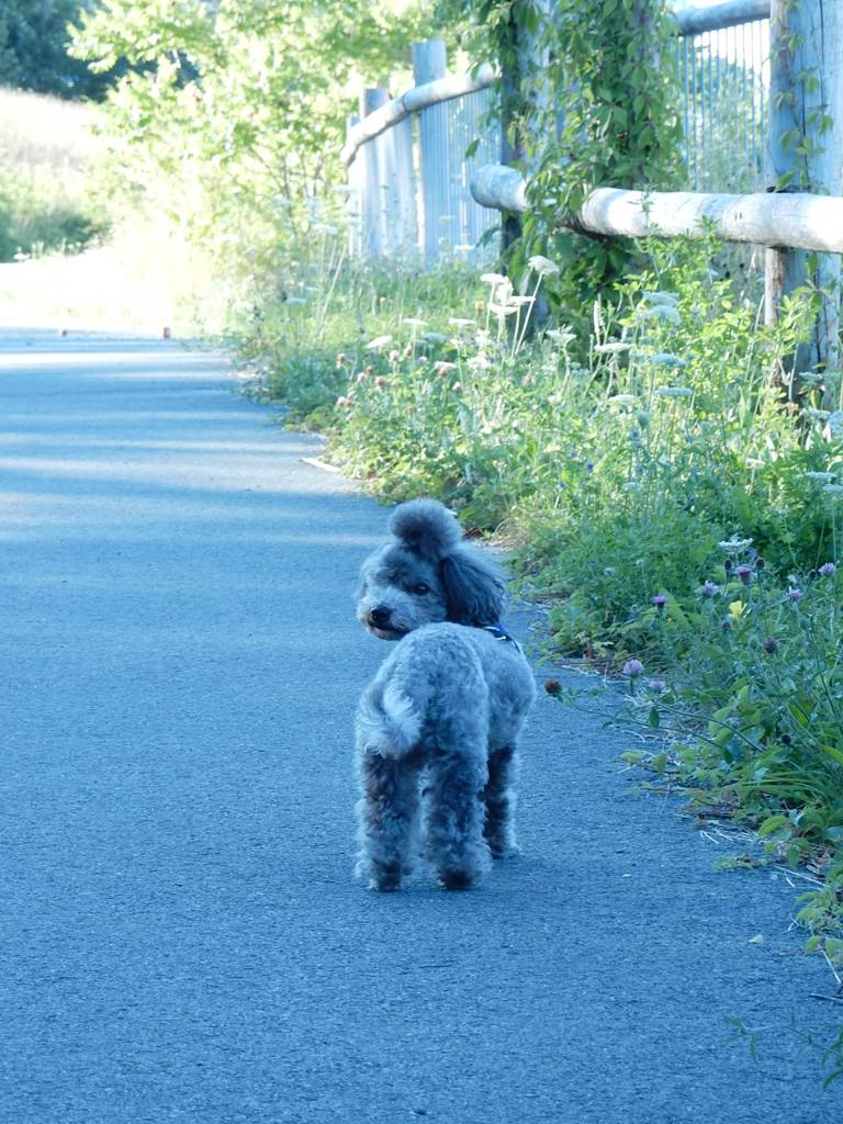 まだ帰りたくない。
