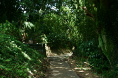 平塚八景・霧降の滝（松岩寺）への道中にて①