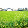 近所で初写真