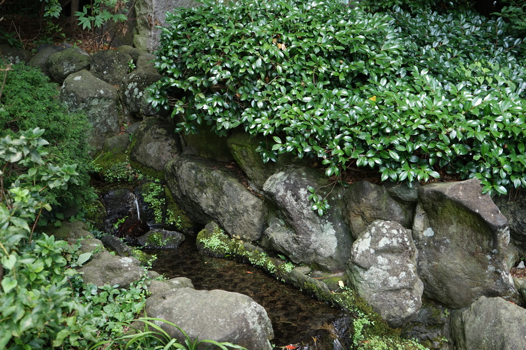 寒川神社にて②