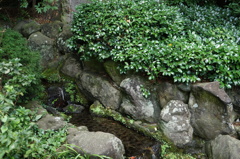 寒川神社にて②