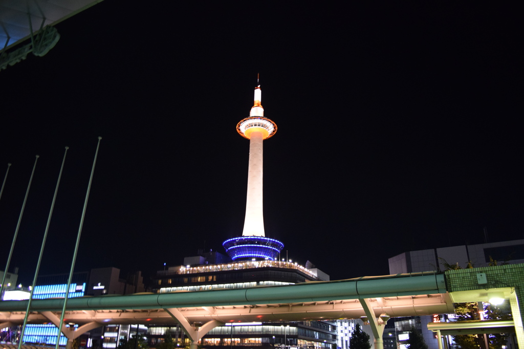DSC_0260