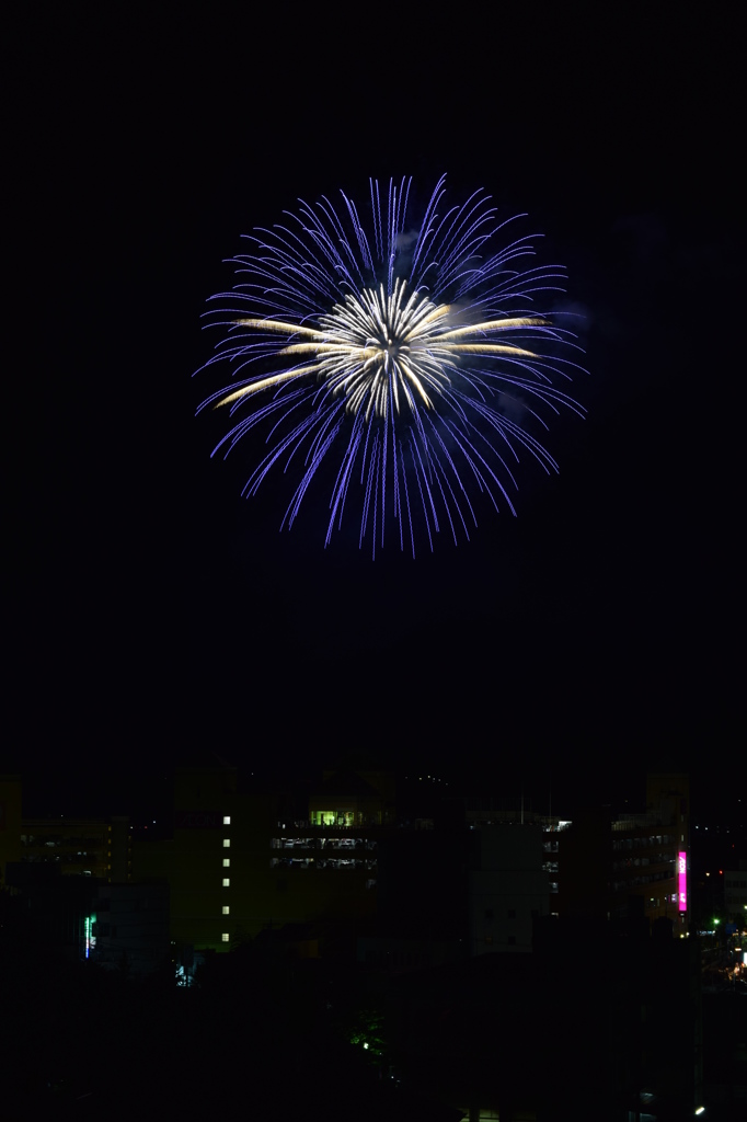 DSC_0337