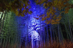 幻想竹林