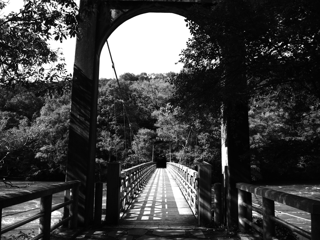 宇治川  吊り橋