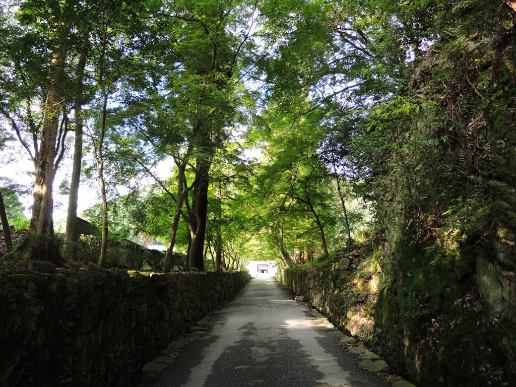 宇治　興霊寺