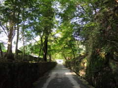 宇治　興霊寺