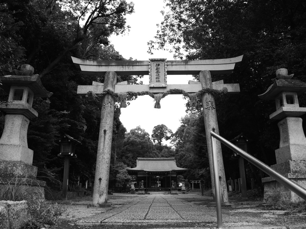 鎮立＿伊射奈岐神社（奈良）