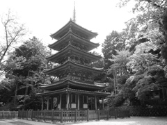 塔朴＿海住山寺（京都）