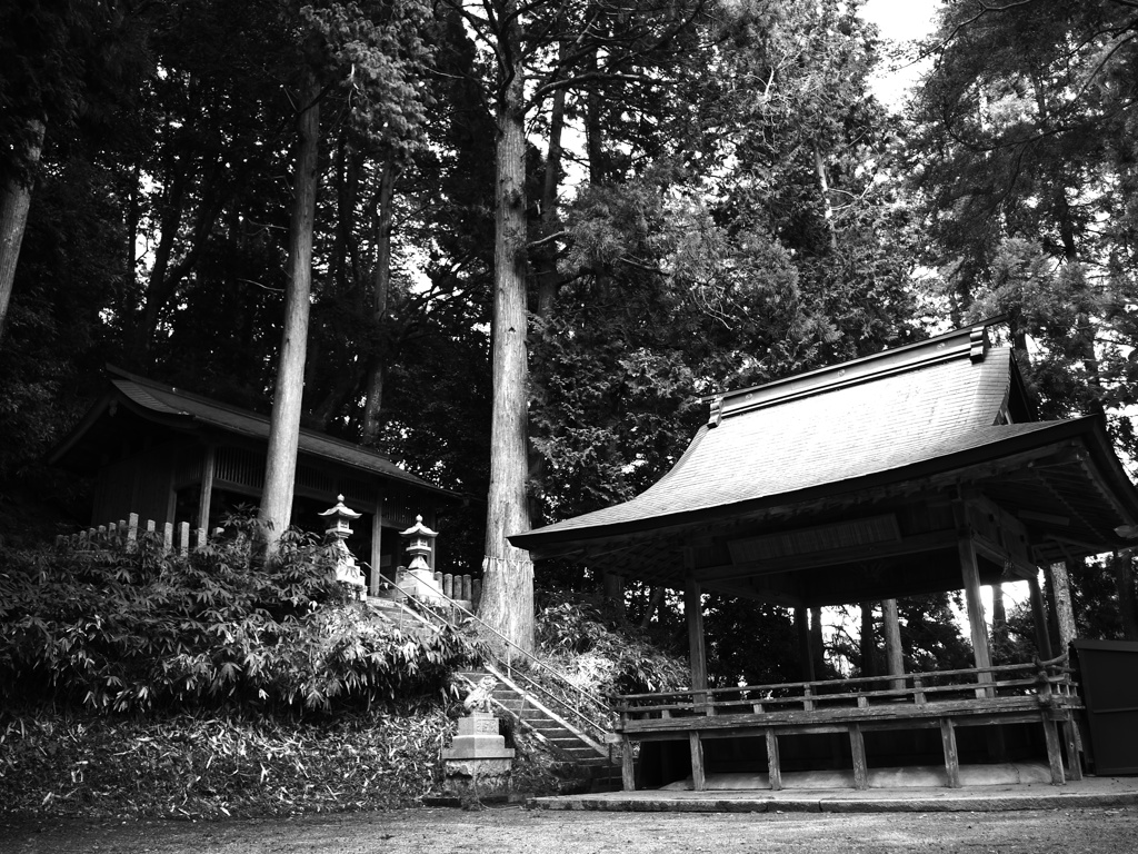 甲賀　八坂神社