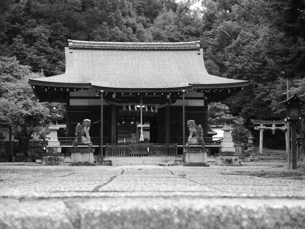 静立＿伊射奈岐神社（奈良）