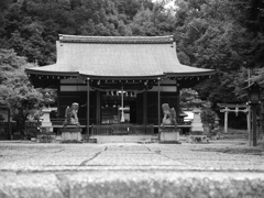 静立＿伊射奈岐神社（奈良）