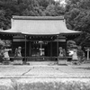 静立＿伊射奈岐神社（奈良）