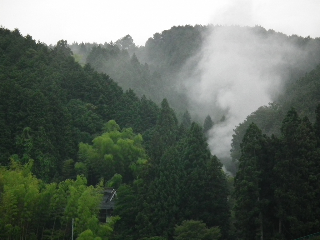 奈良　高円山